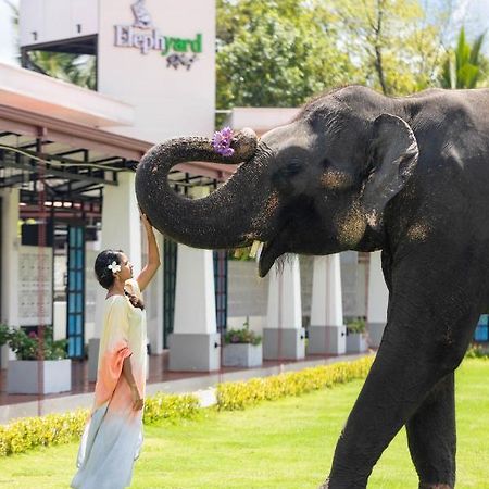Elephyard Retreat Otel Mahiyanganaya Dış mekan fotoğraf