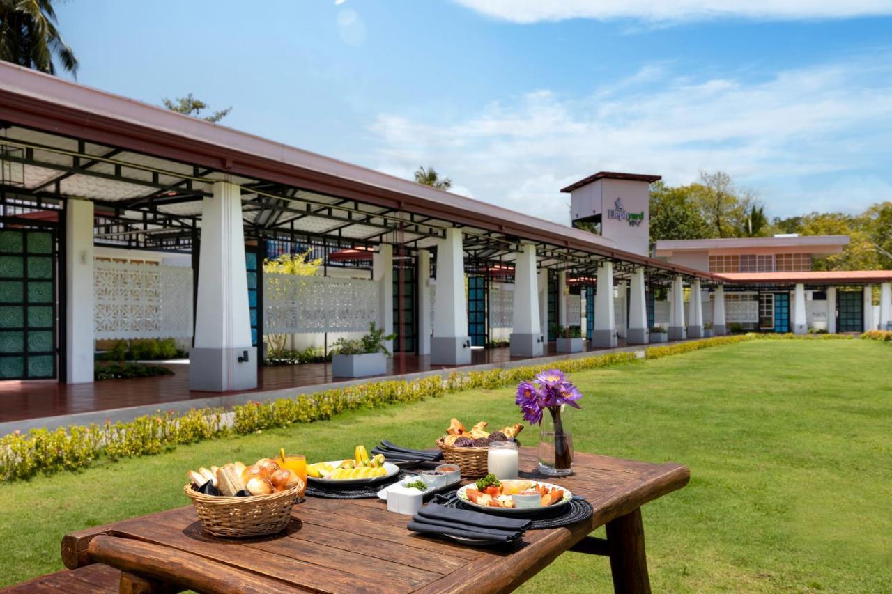 Elephyard Retreat Otel Mahiyanganaya Dış mekan fotoğraf