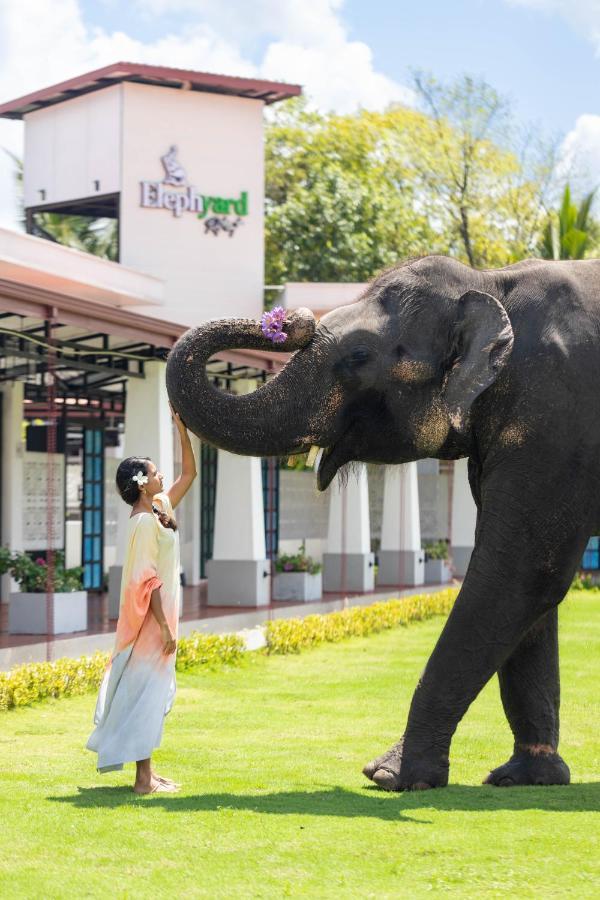 Elephyard Retreat Otel Mahiyanganaya Dış mekan fotoğraf