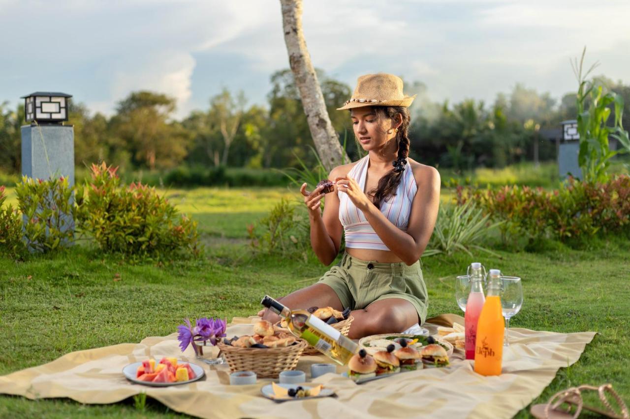 Elephyard Retreat Otel Mahiyanganaya Dış mekan fotoğraf